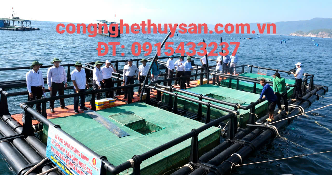 Lồng nuôi cá bằng nhựa HDPE hình vuông