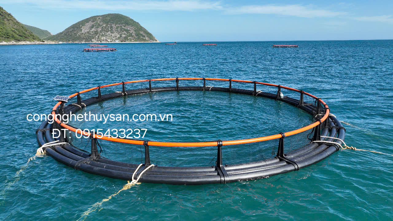 Lồng nuôi cá bằng nhựa HDPE hình tròn