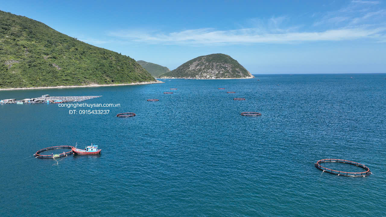 Lồng nuôi cá hình tròn