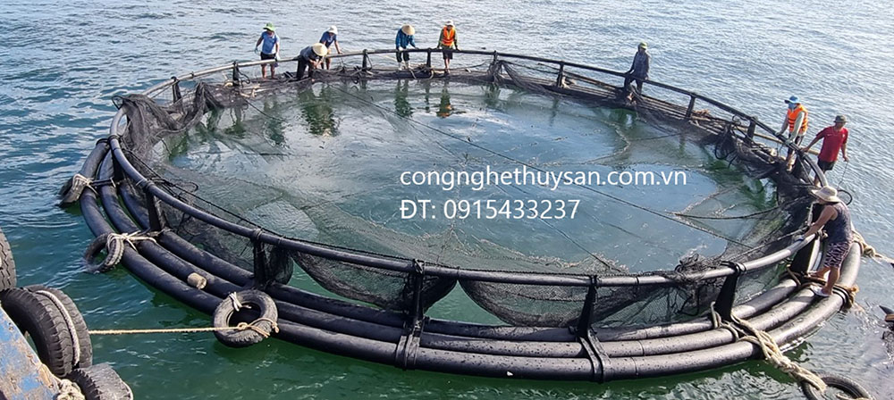 Lồng nuôi cá hình tròn